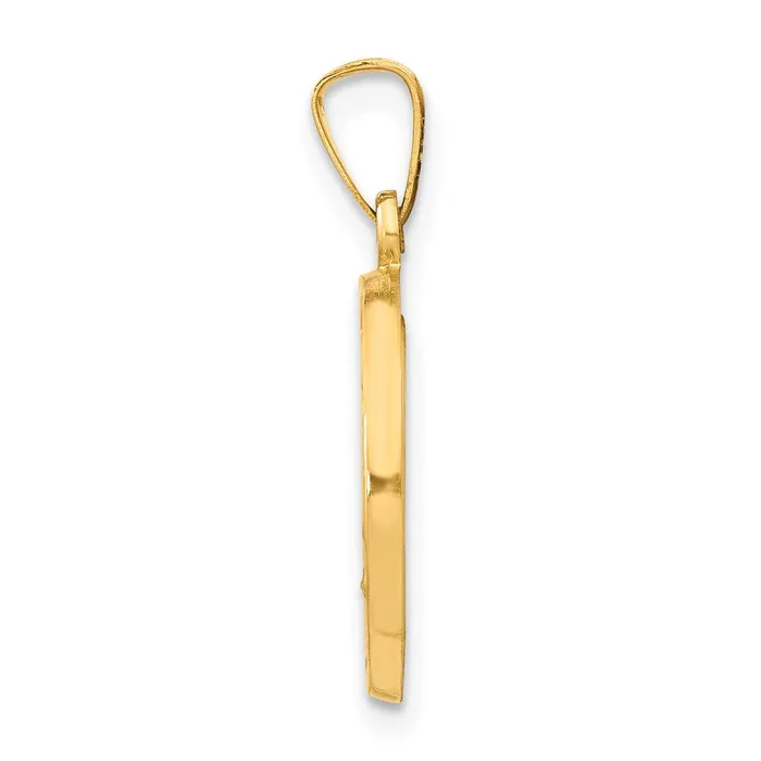 14k Yellow Gold Polished and Satin Miraculous Medal Hollow Pendant TreasureFineJewelers Necklaces