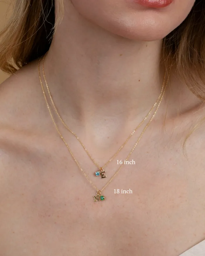 Necklaces ERIJEWELRY Initial R with Birthstone Necklace