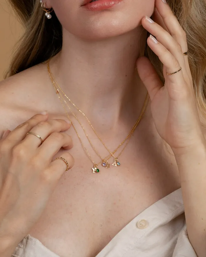 Necklaces ERIJEWELRY Initial R with Birthstone Necklace