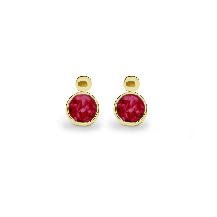 EverWith Delicate Drop Memorial Ashes Earrings EverWith Earrings