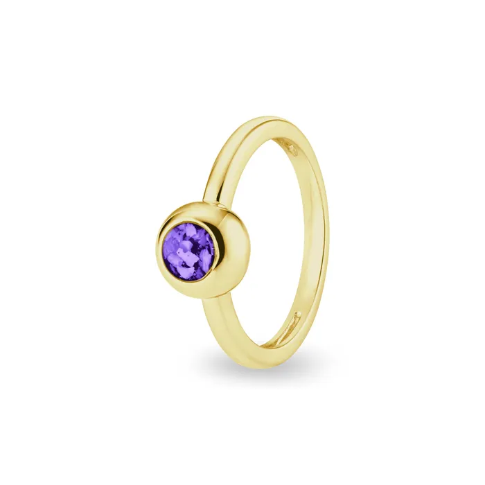 Rings EverWith EverWith Ladies Rondure Memorial Ashes Ring
