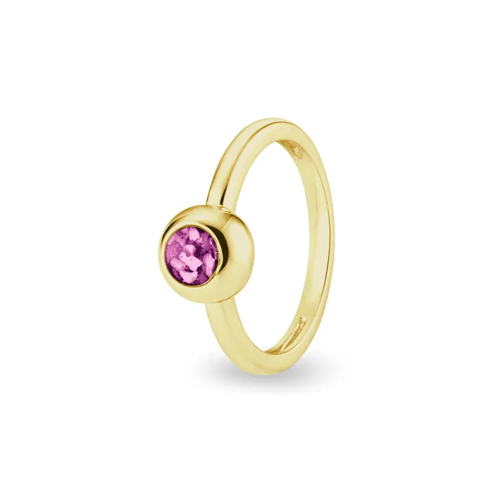 Rings EverWith EverWith Ladies Rondure Memorial Ashes Ring