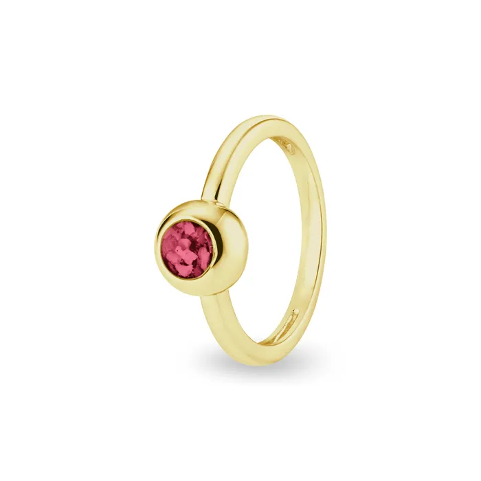 Rings EverWith EverWith Ladies Rondure Memorial Ashes Ring