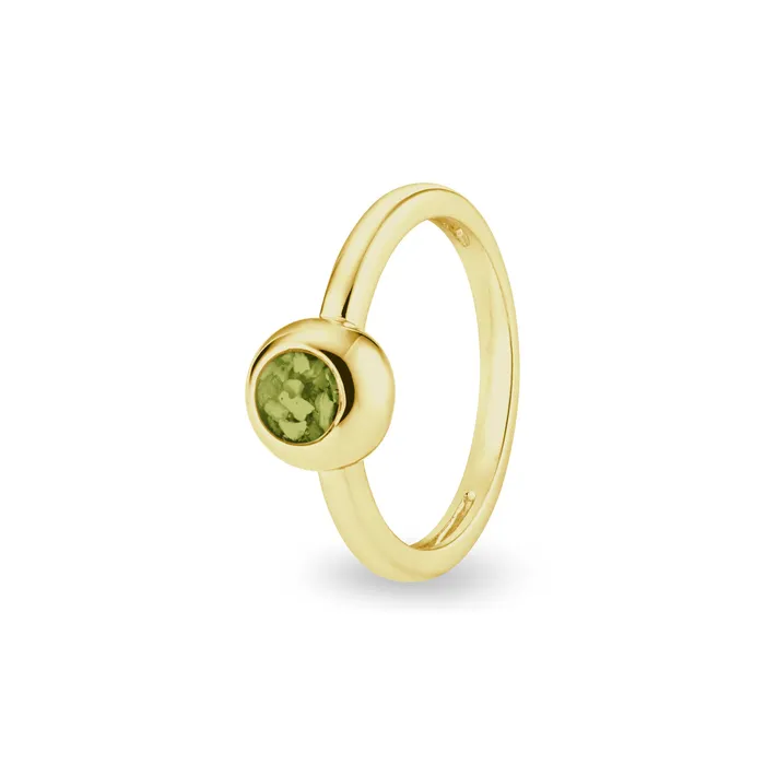 Rings EverWith EverWith Ladies Rondure Memorial Ashes Ring