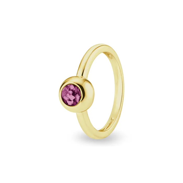 Rings EverWith EverWith Ladies Rondure Memorial Ashes Ring