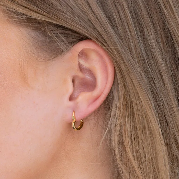 Camile Stone Heart Huggie Hoop Earrings Earrings