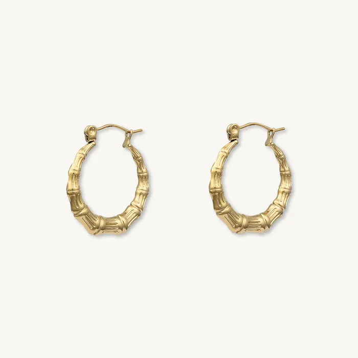Earrings Camile Stone Delphine Statement Hoop Earrings