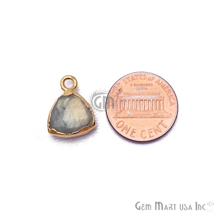 Labradorite 10mm Trillion Gold Electroplated Gemstone Connector GemMartUSA PreStyled Sets Labradorite 10mm Trillion Gold Electroplated Gemstone Connector GemMartUSA PreStyled Sets