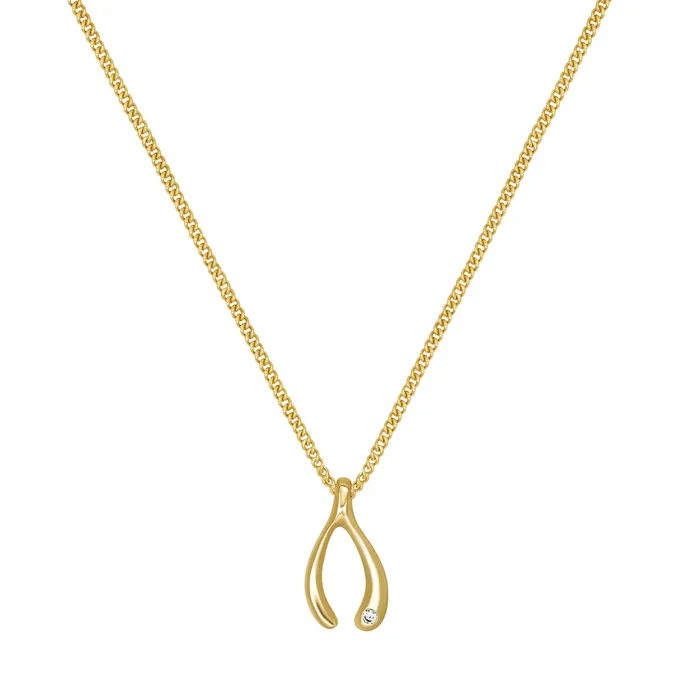 Wishbone Necklace acemijewelry Necklaces