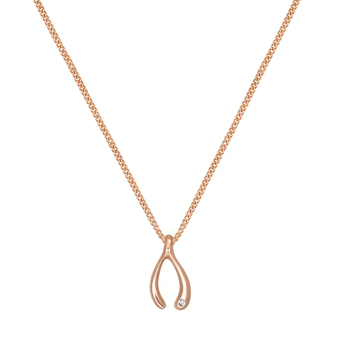 Wishbone Necklace acemijewelry Necklaces