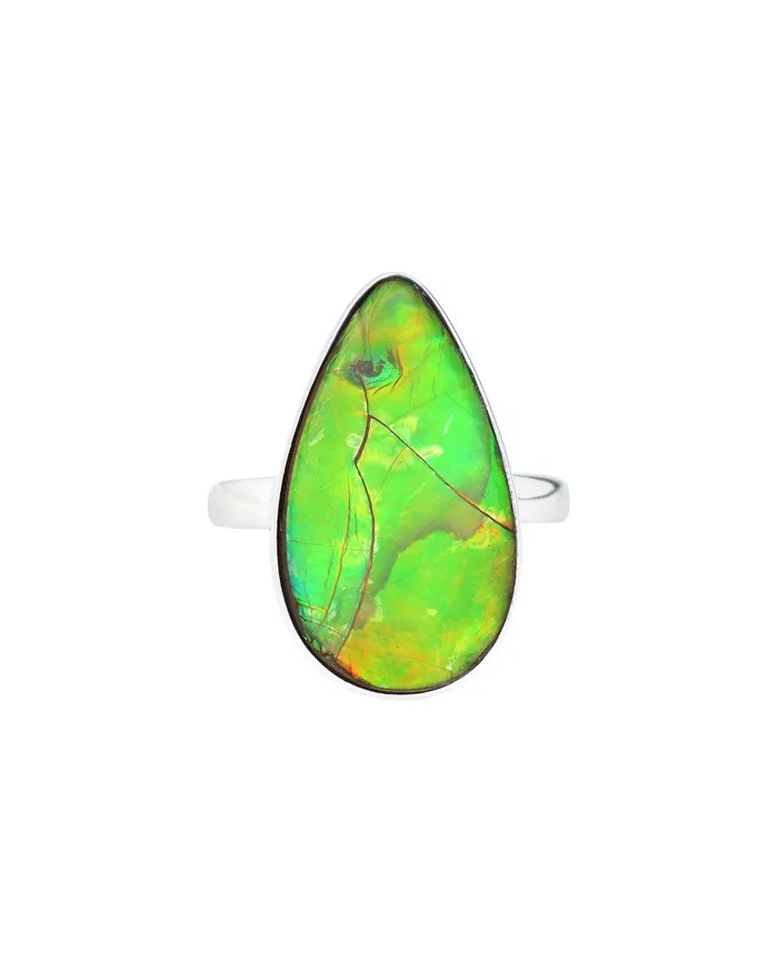 YoTreasure Rings 895 Ct Ammoite Ring Solid 925 Sterling Silver Jewlry