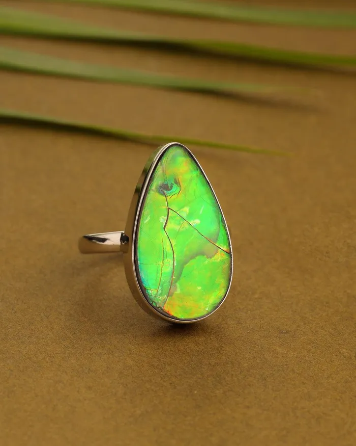YoTreasure Rings 895 Ct Ammoite Ring Solid 925 Sterling Silver Jewlry