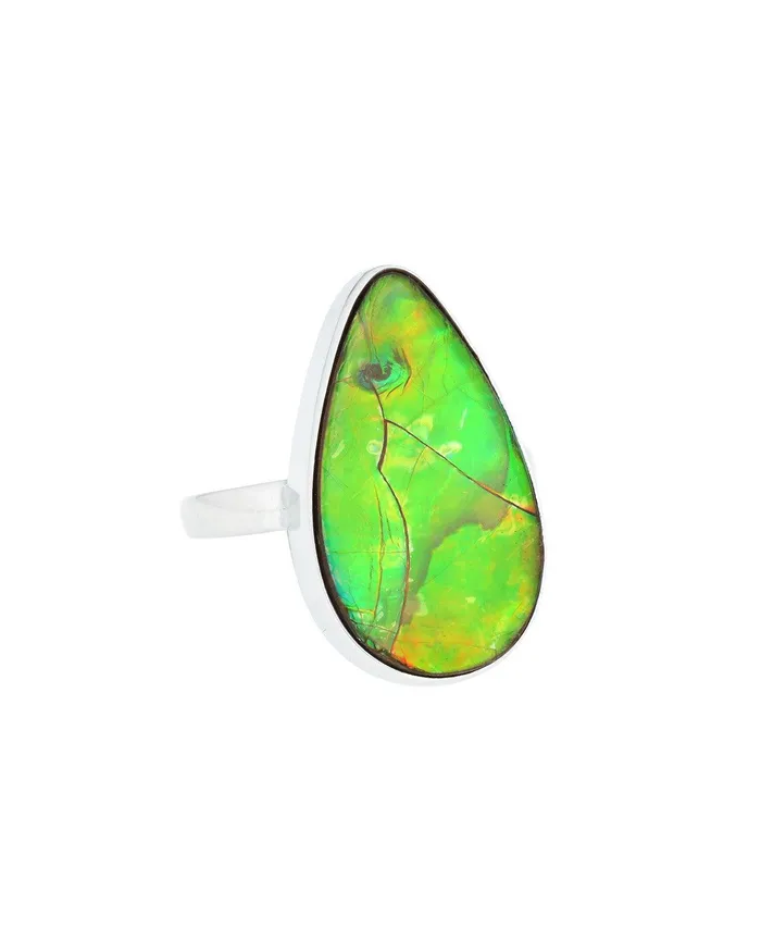 YoTreasure Rings 895 Ct Ammoite Ring Solid 925 Sterling Silver Jewlry
