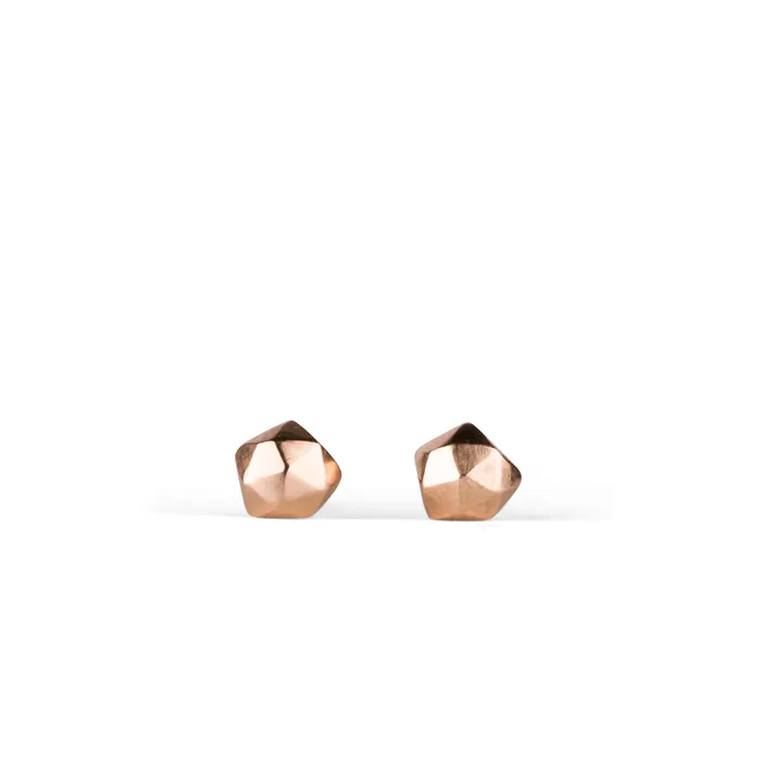 Earrings Corey Egan Rose Gold Micro Fragment Stud Earrings