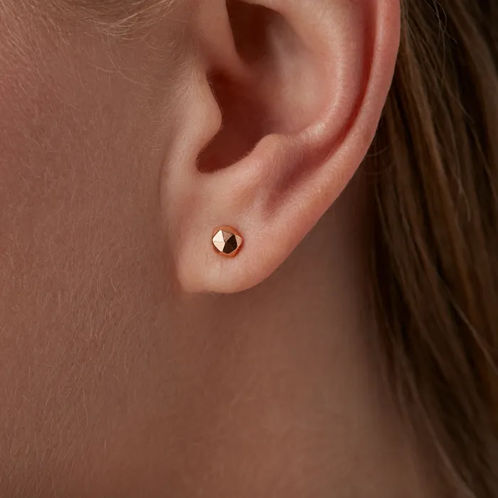 Earrings Corey Egan Rose Gold Micro Fragment Stud Earrings