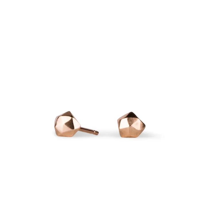 Earrings Corey Egan Rose Gold Micro Fragment Stud Earrings