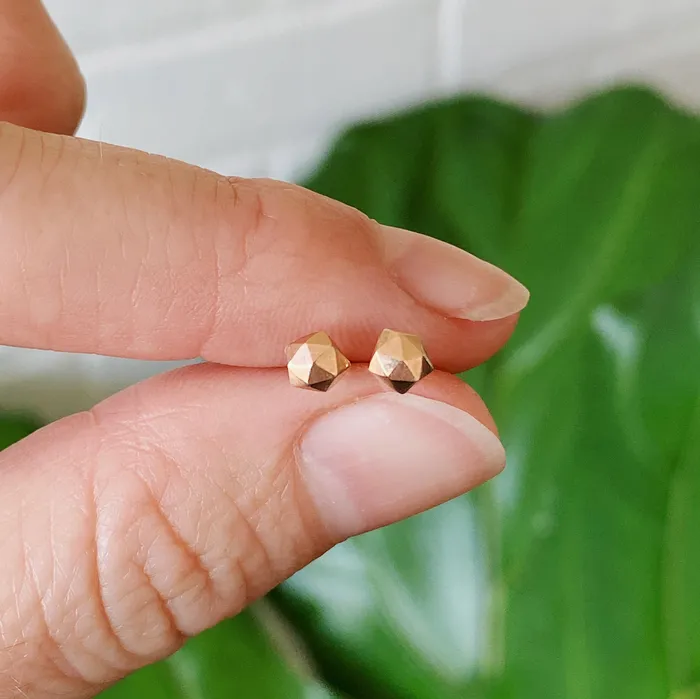 Earrings Corey Egan Rose Gold Micro Fragment Stud Earrings