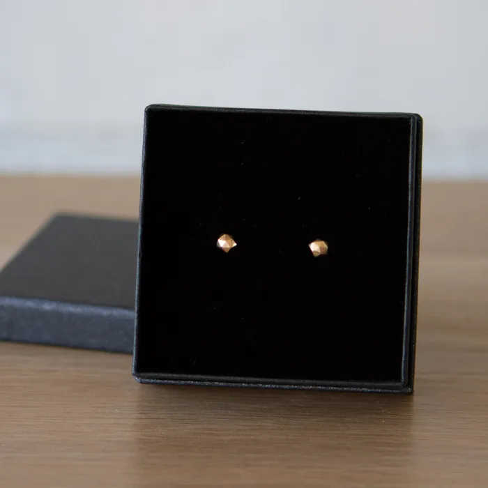 Earrings Corey Egan Rose Gold Micro Fragment Stud Earrings