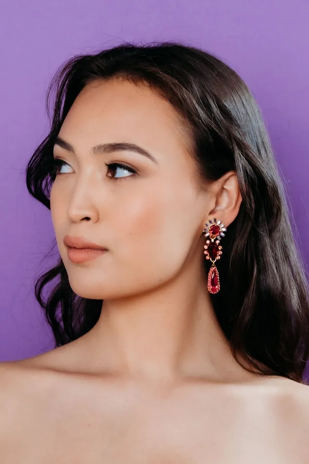 Elizabeth Cole Jewelry Earrings Diara Earrings Elizabeth Cole Jewelry Earrings Diara Earrings