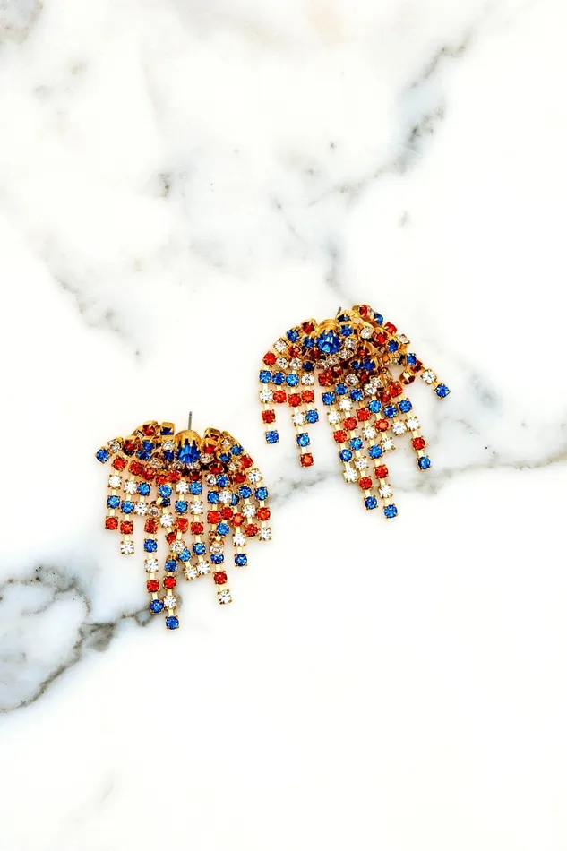 Elizabeth Cole Jewelry Virginia Earrings Earrings