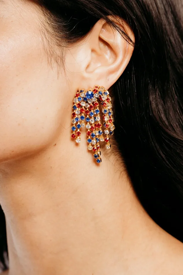 Elizabeth Cole Jewelry Virginia Earrings Earrings
