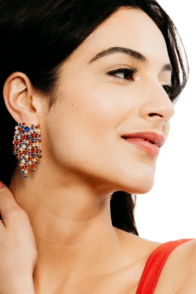 Elizabeth Cole Jewelry Virginia Earrings Earrings