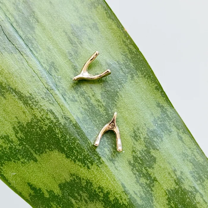 Gold Wishbone Stud Earrings Corey Egan Earrings