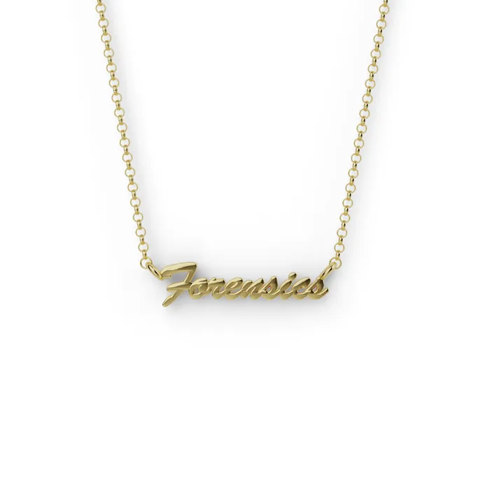 sciencejewelry1824 Necklaces forensics necklace gold vermeil