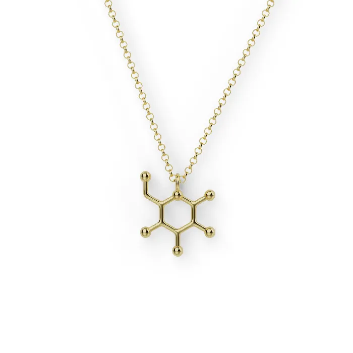 sciencejewelry1824 Necklaces glucose necklace gold vermeil