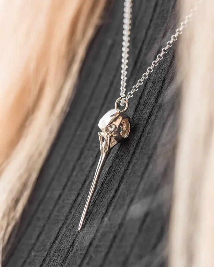sciencejewelry1824 Necklaces hummingbird skull necklace silver