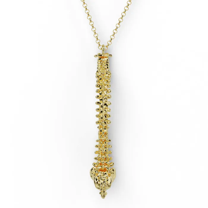 sciencejewelry1824 spine necklace gold vermeil Necklaces