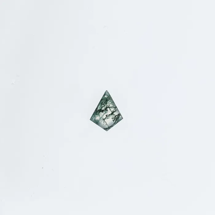 The Celeste 14k White Size 8 Stone MOS8 Rainforest Ring Box Custom Engraving 0 VENVS Rings The Celeste 14k White Size 8 Stone MOS8 Rainforest Ring Box Custom Engraving 0 VENVS Rings